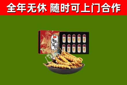 朝阳区烟酒回收冬虫夏草礼盒.jpg
